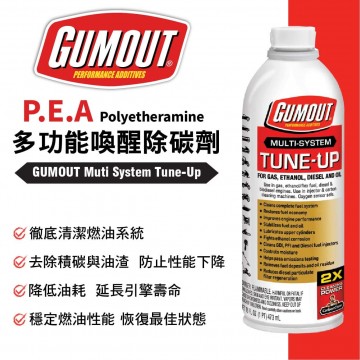 GUMOUT PEA多功能喚醒除碳劑 473ML