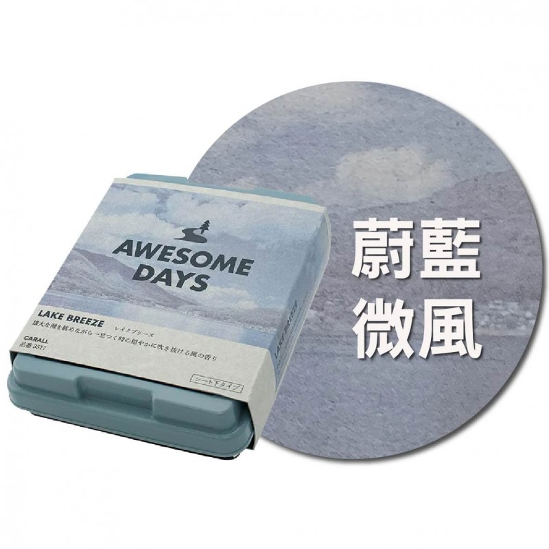 CARALL AWESOME DAYS置型芳香劑165ml