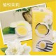 CARMATE irodori 冷氣孔芳香消臭劑(1入)