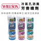 WILLSON 冷氣空調消臭清潔劑170ml